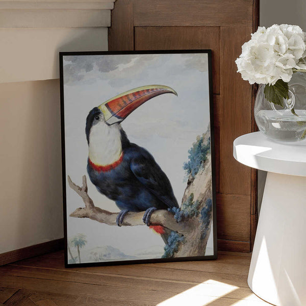 Tablou înramat „Red Billed Toucan” de Aert Schouman