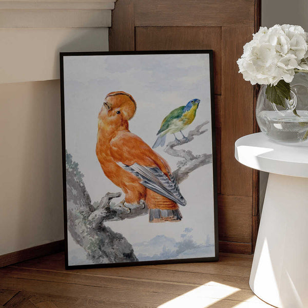 Tablou înramat „Two Exotic Birds” de Aert Schouman