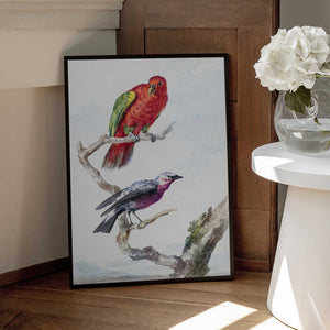 Tablou înramat „Two Birds, Including a Red Green Parrot” de Aert Schouman