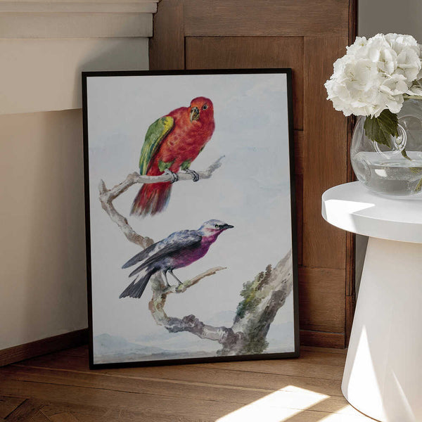 Tablou înramat „Two Birds, Including a Red Green Parrot” de Aert Schouman