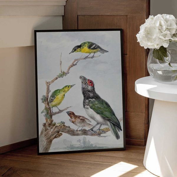 Tablou înramat „Four Different Birds On a Branch” de Aert Schouman