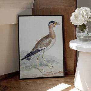 Tablou înramat „A Yellow Wattled Lapwing” de Aert Schouman
