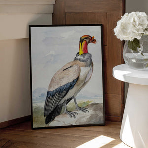 Tablou înramat „Stone Curlew” de Aert Schouman