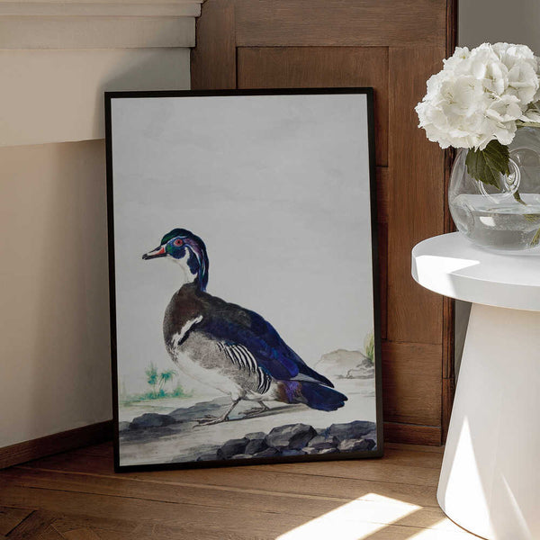 Tablou înramat „A Duck” de Aert Schouman