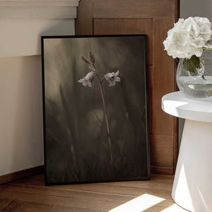 Tablou înramat „A small flower on the ground” de Allan Wallberg