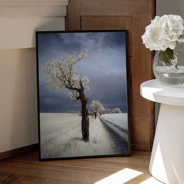 Tablou înramat „IRenka” de Piotr Krol (Bax)