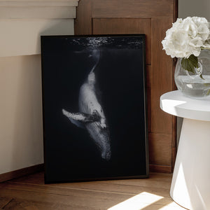 Tablou înramat „Black Whale” de Barathieu Gabriel