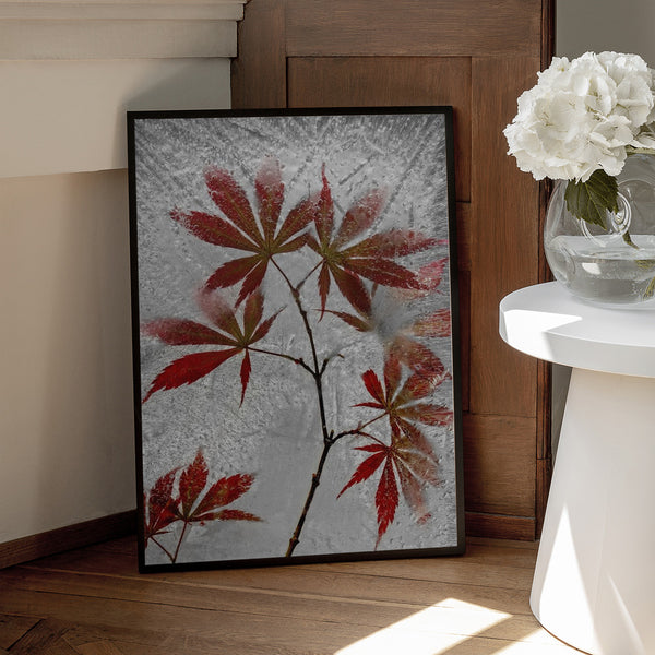 Tablou înramat „red maple” de Secundino Losada