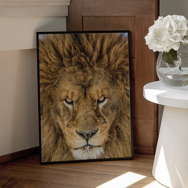 Tablou înramat „Serious Lion” de Mike Centioli