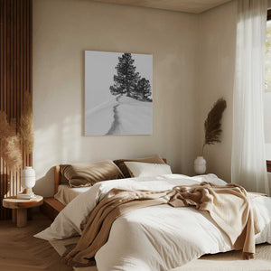 Tablou canvas „About the snow and forms” de Rodrigo Núñez Buj