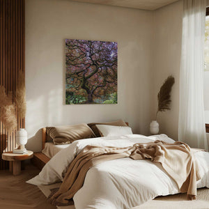Tablou canvas „Japanese Maple Tree” de Mike Centioli