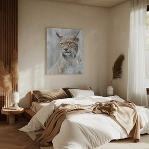 Tablou canvas „Lynx portrait in the fog” de Santiago Pascual Buye