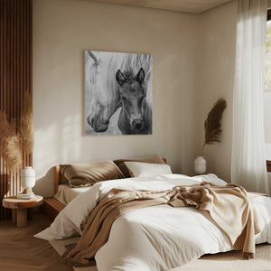 Tablou canvas „The Foal” de Jacky Parker