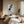 Tablou canvas „Cat Lover” de Pictufy Studio II