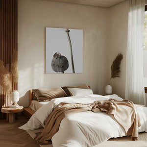 Tablou canvas „Dried_005” de Pictufy Studio III
