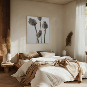 Tablou canvas „Dried_006” de Pictufy Studio III