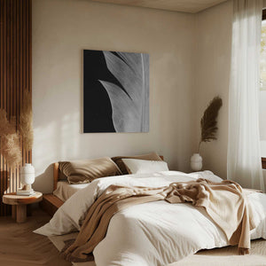 Tablou canvas „Feather_005” de Pictufy Studio III