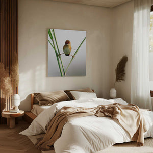 Tablou canvas „Kung Fu Master” de Lina Gunawan