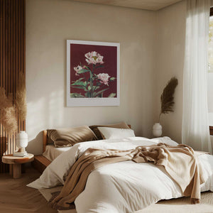 Tablou canvas „Hærdaceous Peony no2” de Ogawa Kazumasa