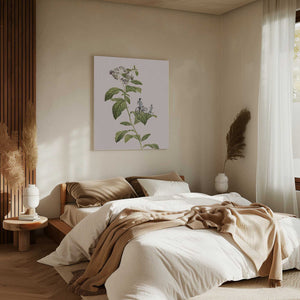 Tablou canvas „Botanical cycling” de Frida Floral Studio