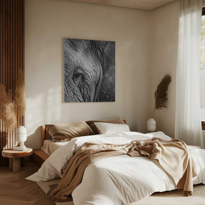Tablou canvas „Wisdom's Wrinkles” de Shot by Clint
