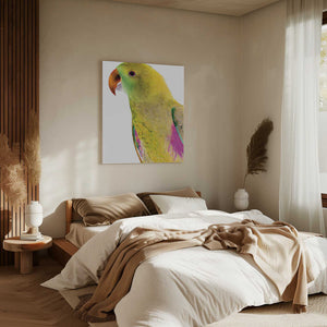 Tablou canvas „Vibrant Parrot Profile” de Shot by Clint