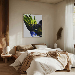 Tablou canvas „Vivid Bird Glance” de Shot by Clint