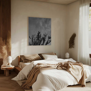 Tablou canvas „Monochrome Cactus Sky” de Bethany Young