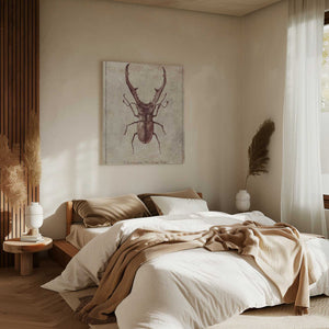 Tablou canvas „Antique Beetle Illustration” de Mike Koubou