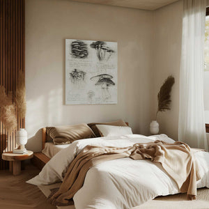 Tablou canvas „Various Botanical Mushrooms” de Mike Koubou
