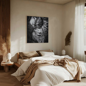 Tablou canvas „Yin and Yang” de Andrea Jancova