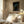 Tablou înramat „Fish & Oil” de Ivan Kovalev