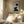 Tablou înramat „Collage 06” de Pictufy Studio