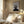 Tablou înramat „Collage 07” de Pictufy Studio