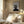 Tablou înramat „Collage 08” de Pictufy Studio