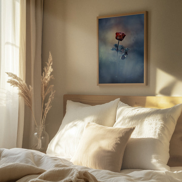 Tablou înramat „Where poetry and memories remain” de Fabien BRAVIN