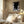 Tablou înramat „Lovers Black” de Pictufy Studio II