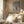 Tablou înramat „Pampas Grass Grey” de Pictufy Studio III