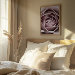Tablou înramat „Pink Rose No 04” de Pictufy Studio III