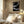 Tablou înramat „negatives_006_tapestry” de Pictufy Studio II