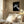 Tablou înramat „negatives_006_crossed” de Pictufy Studio II