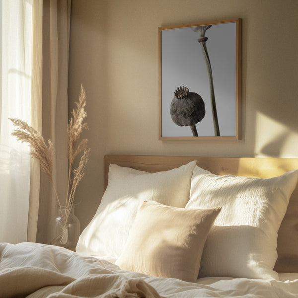 Tablou înramat „Dried_005” de Pictufy Studio III