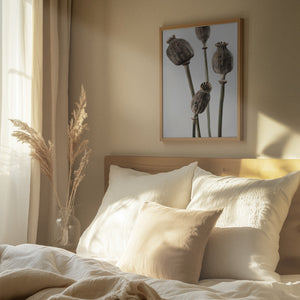 Tablou înramat „Dried_006” de Pictufy Studio III