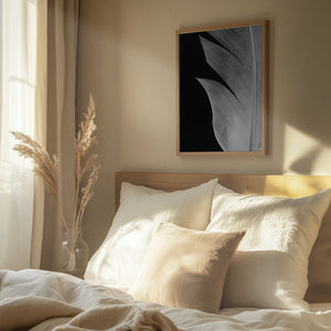 Tablou înramat „Feather_005” de Pictufy Studio III