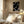 Tablou înramat „Shapes in Harmony” de THE MIUUS STUDIO