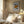 Tablou înramat „Geometric Harmony” de THE MIUUS STUDIO