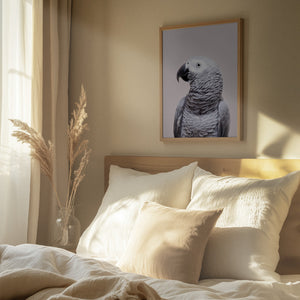 Tablou înramat „African Grey” de Kathrin Pienaar