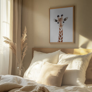 Tablou înramat „Baby Giraffe” de Kathrin Pienaar