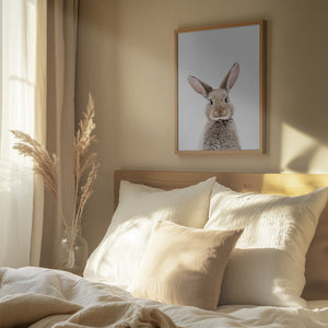 Tablou înramat „Baby Rabbit” de Kathrin Pienaar