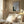 Tablou înramat „Abstract Shapes in Green-1” de Sally Ann Moss